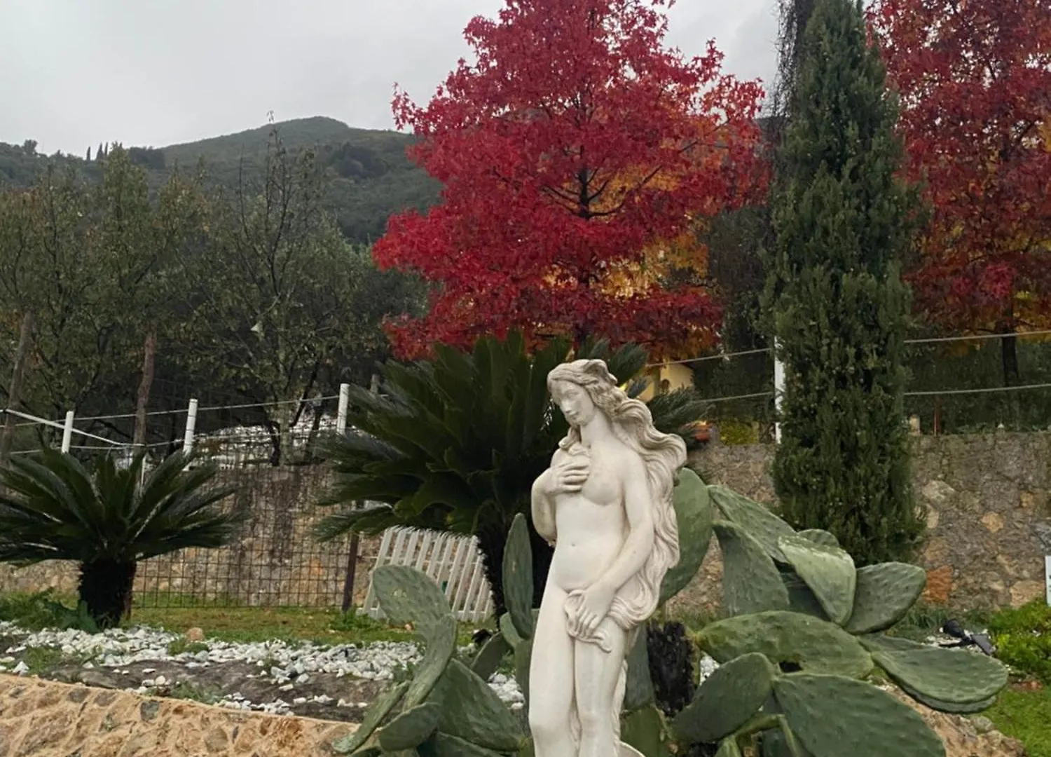 Villa Sotto Il Cielo Di Toscana Camaiore